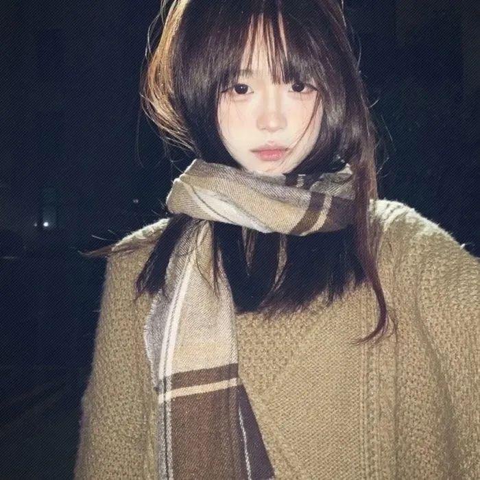 成凰录